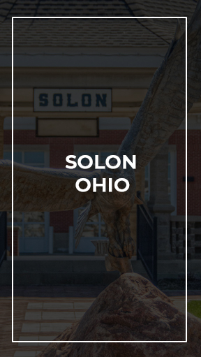 Solon Ohio Real Estate